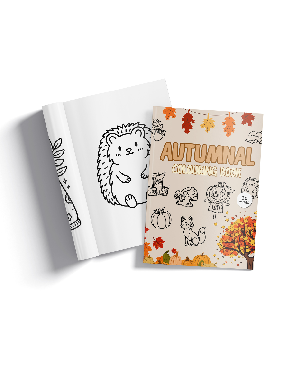 Autumnal Colouring Book
